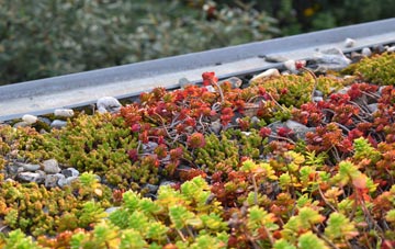 the cost of Plantation Bridge green roof installation